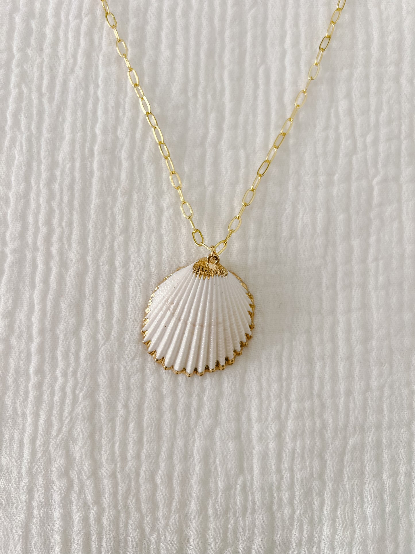 Large White Cockle with Gold Necklace