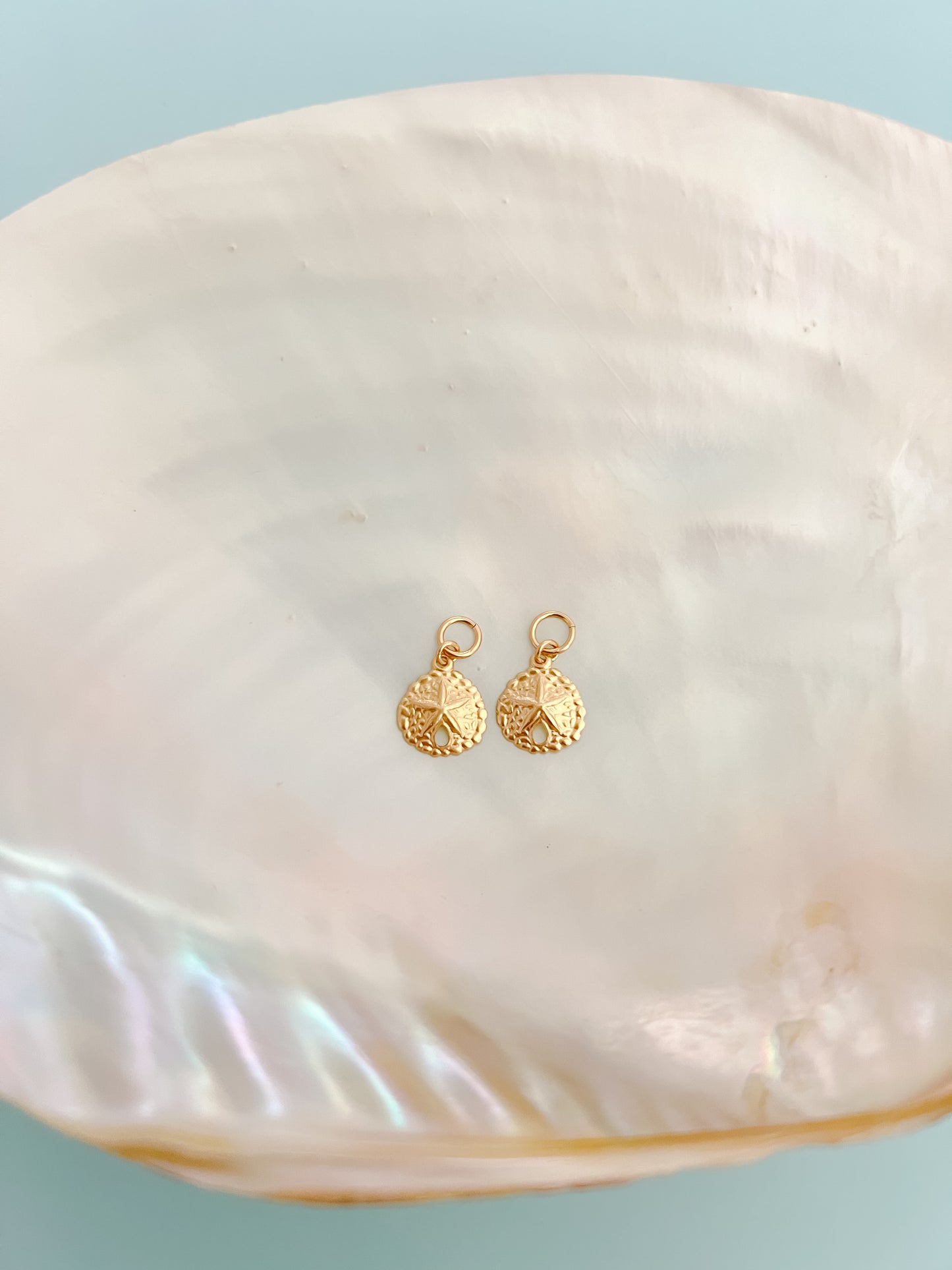 Gold Filled Sand Dollar Earrings Charms