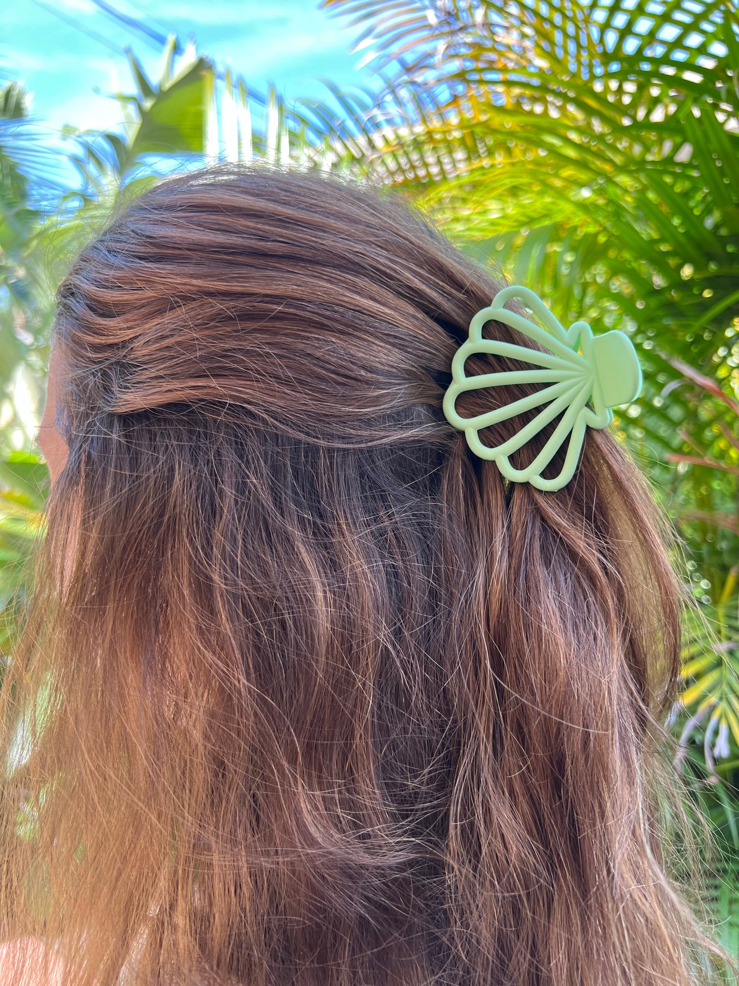 Matte Seashell Hair Claw Clips