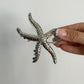 Silver Starfish Hair Clip