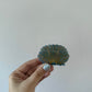 Grey Blue Shell Hair Clip