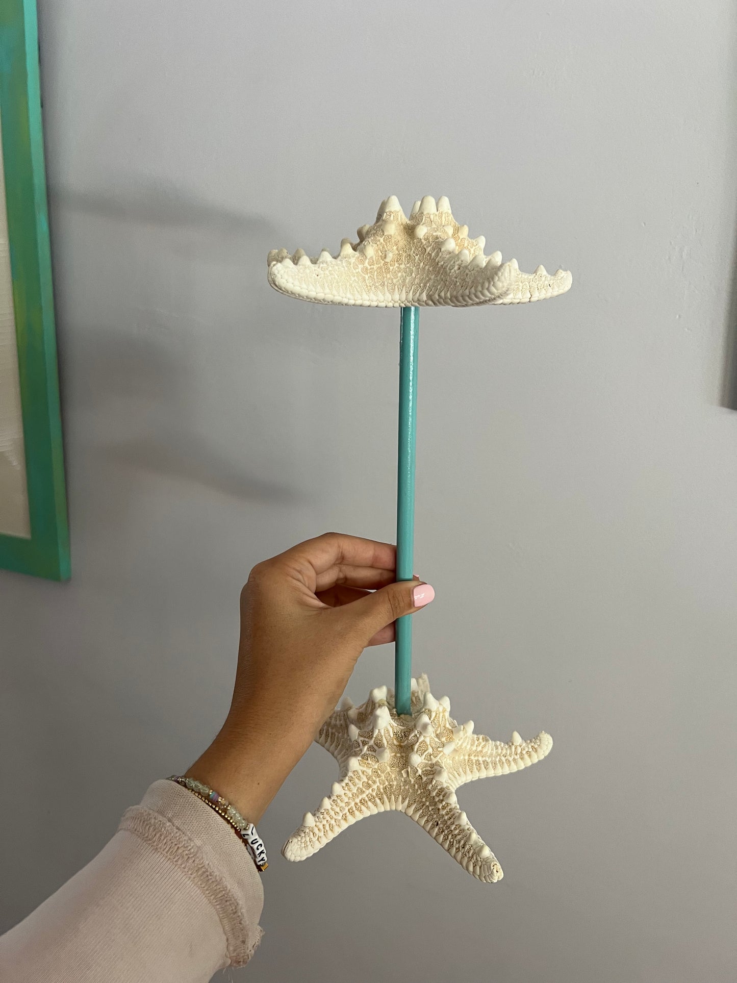 Real Starfish Jewelry Stand