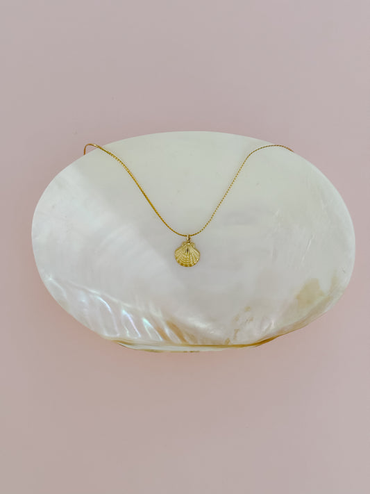 Small Seashell Neckalce