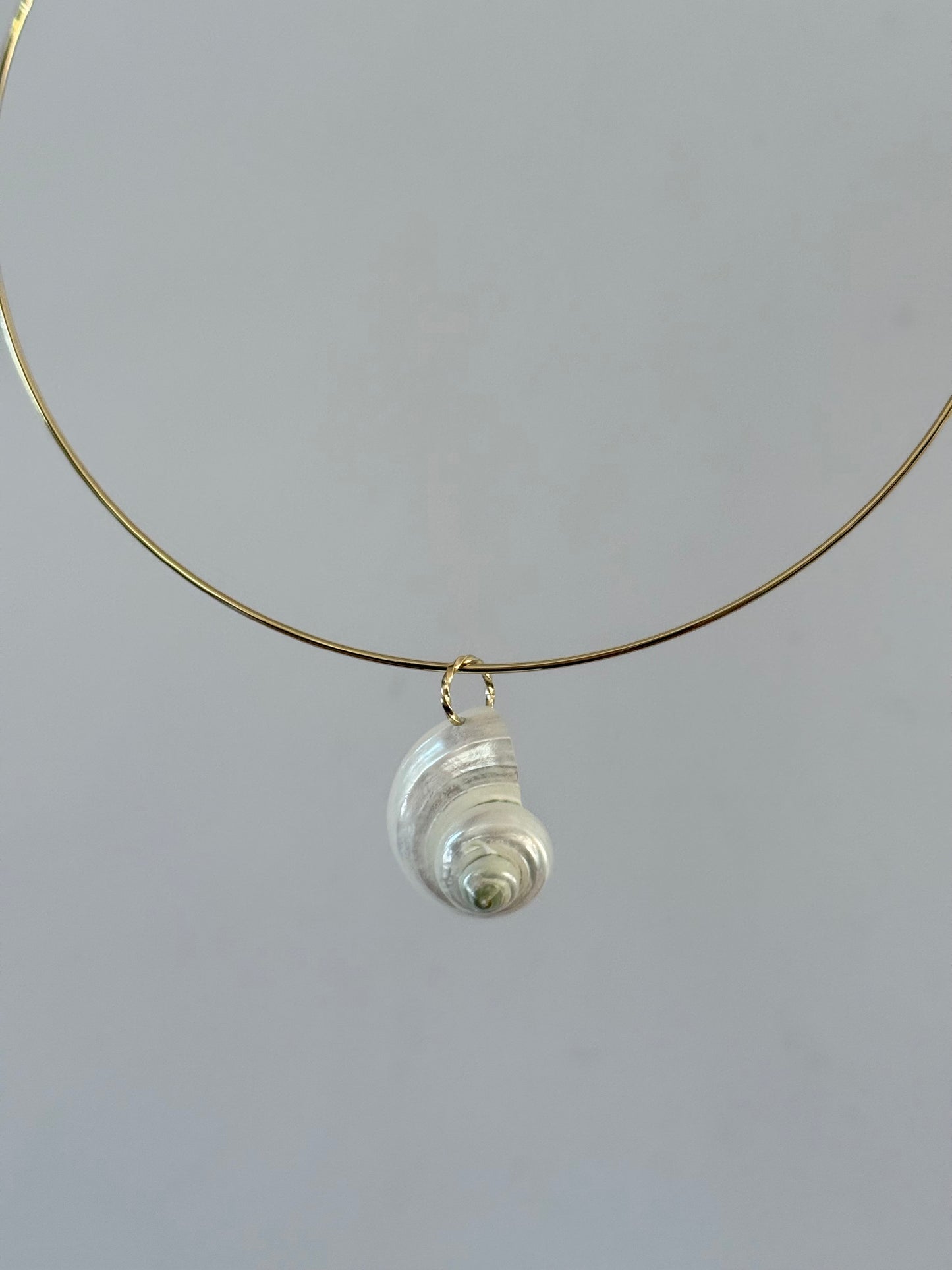 White Shell Collar Necklace