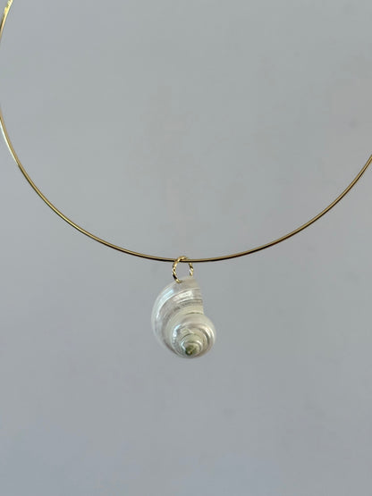 White Shell Collar Necklace