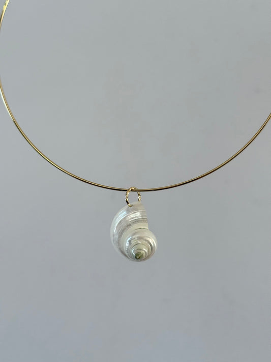 White Shell Collar Necklace