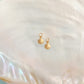 Gold Filled Medium Seashell Earring Charms