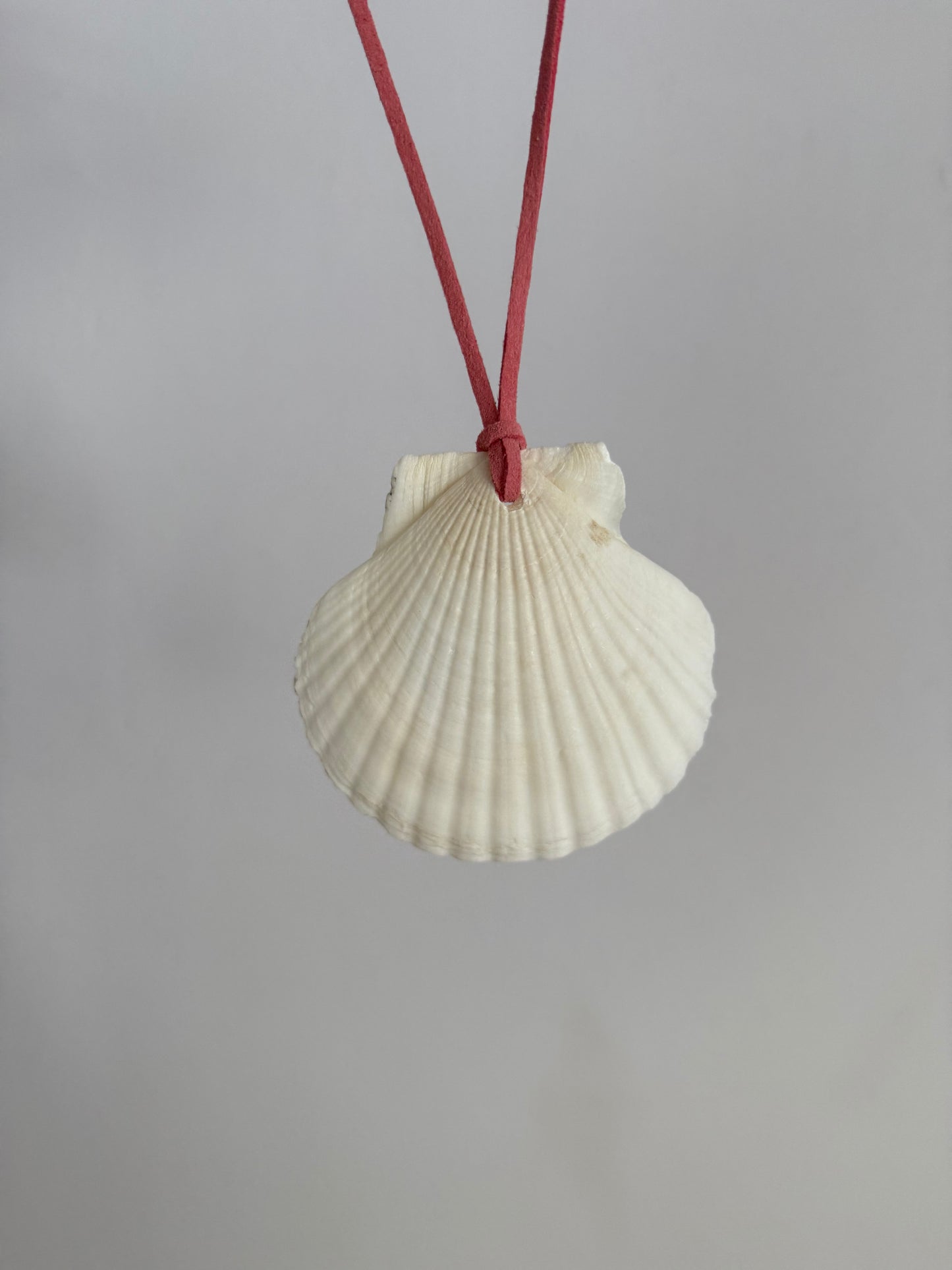 Seashell Rearview Mirror Hang
