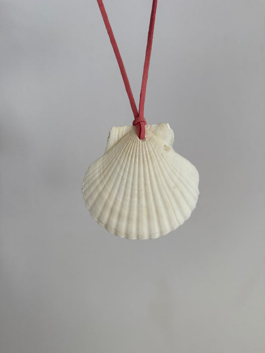 Seashell Rearview Mirror Hang
