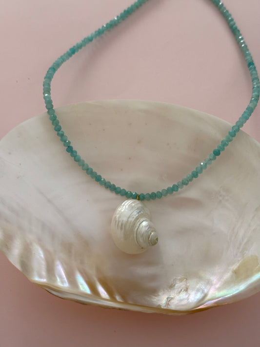 Amazonite Turbo Shell Necklace