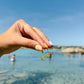 Tiny Nautilus Shell Earrings