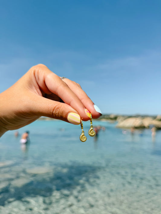 Tiny Nautilus Shell Earrings