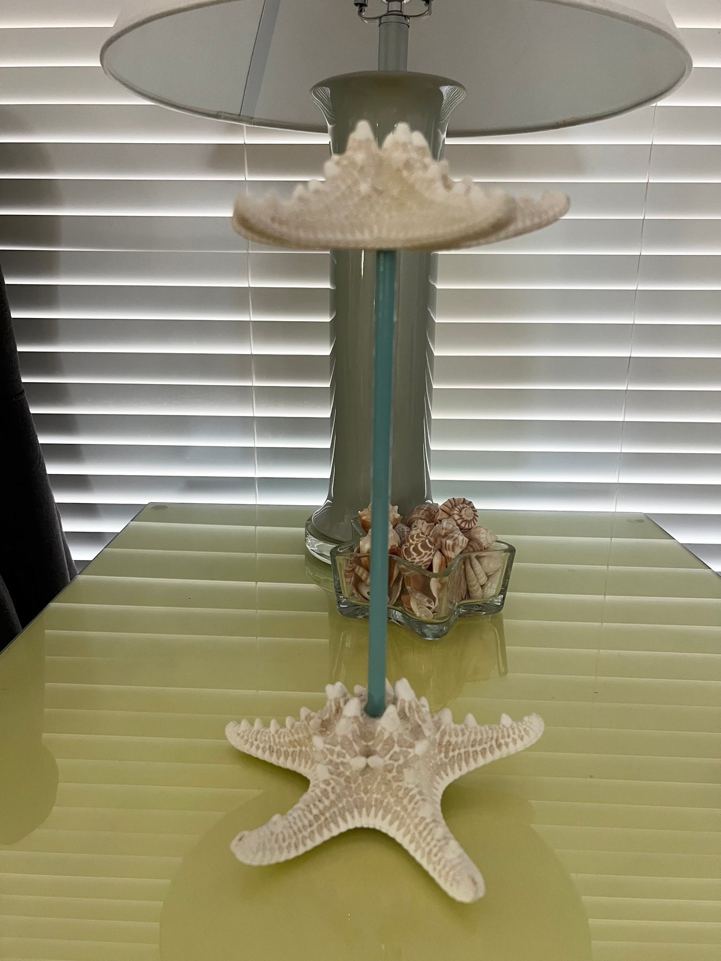 Real Starfish Jewelry Stand