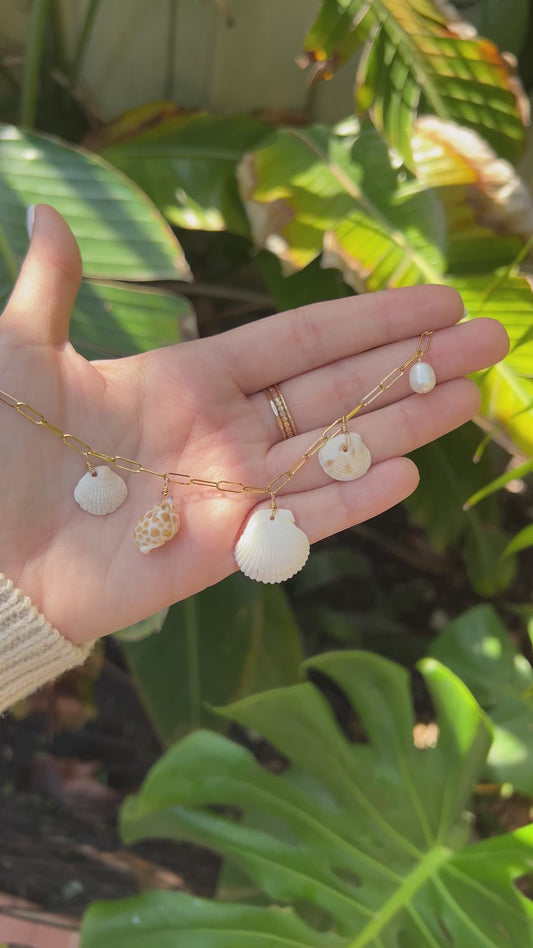 Real Seashell Charm Necklace