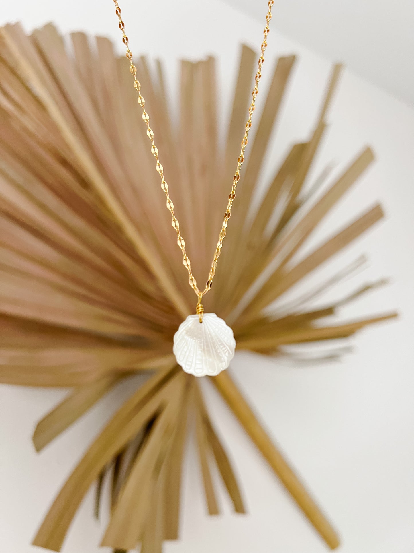 Mother of Pearl Chunky Shell Necklace