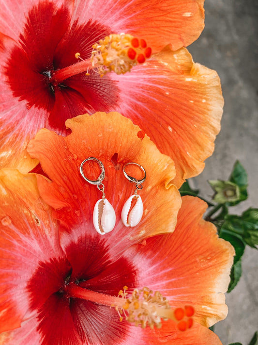 Cowrie Shell Huggie Hoop Earrings