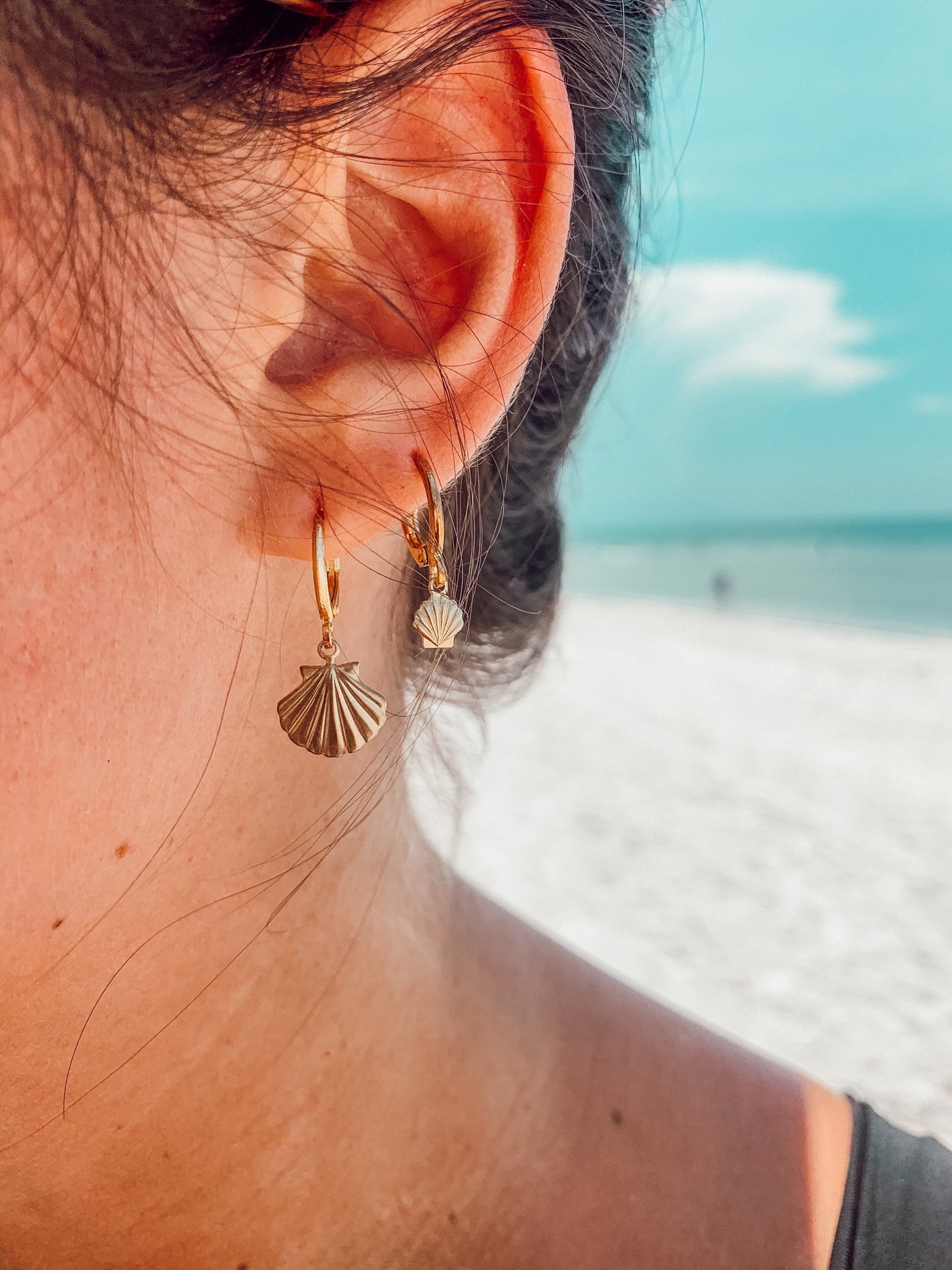 Small or Big Gold Scallop Seashell Huggie Hoop Earrings