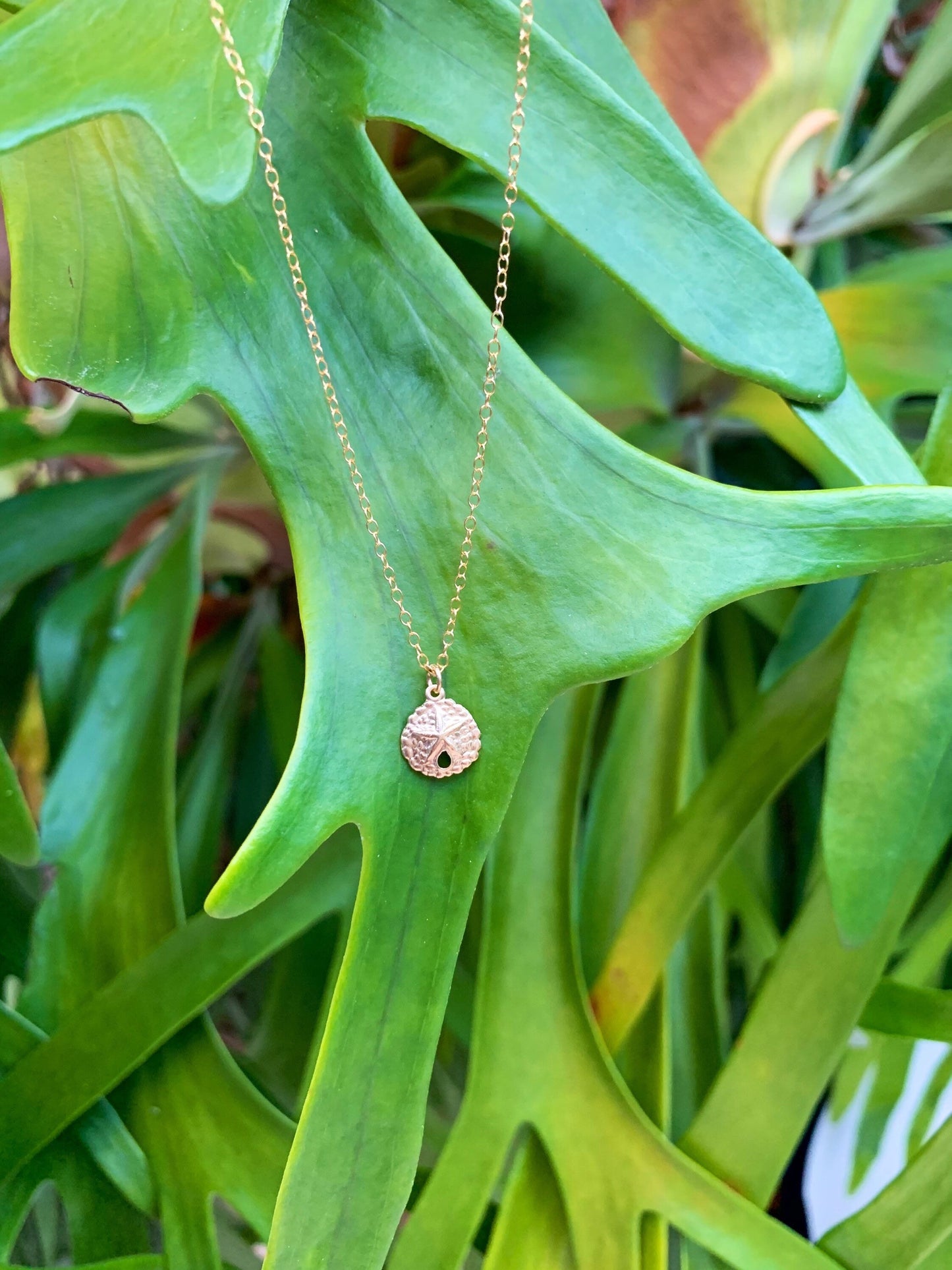 Gold Sand Dollar Necklace