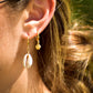 Cowrie Shell Huggie Hoop Earrings