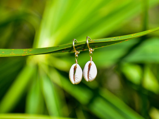 Cowrie Shell Huggie Hoop Earrings