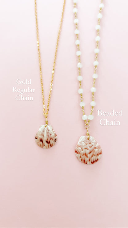 Real Calico Scallop Seashell Necklace