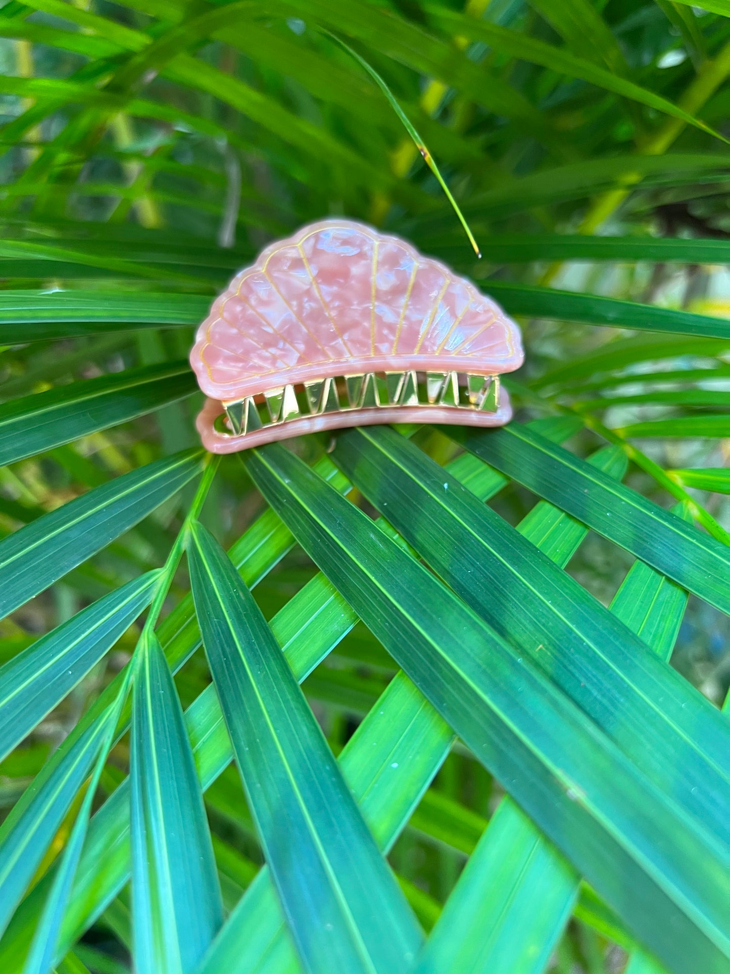 Coral Seashell Hair Claw Clip