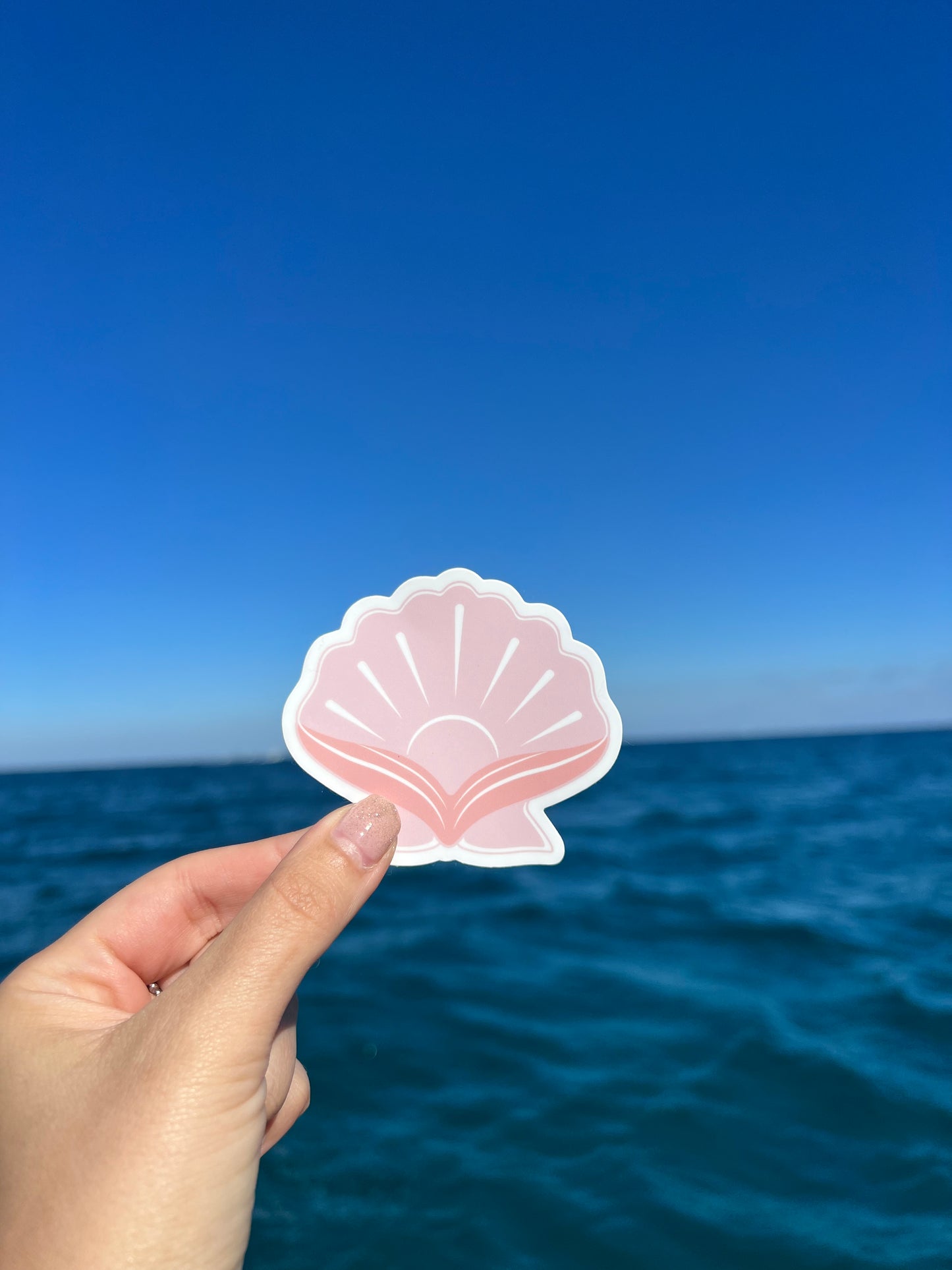 Seashell Sticker