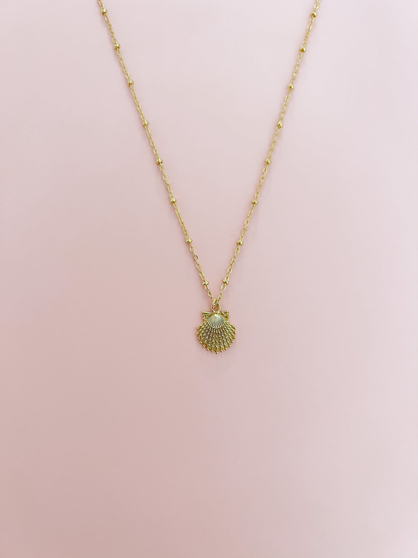 Small Gold Scallop Shell Necklace