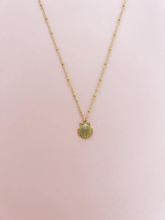 Small Gold Scallop Shell Necklace